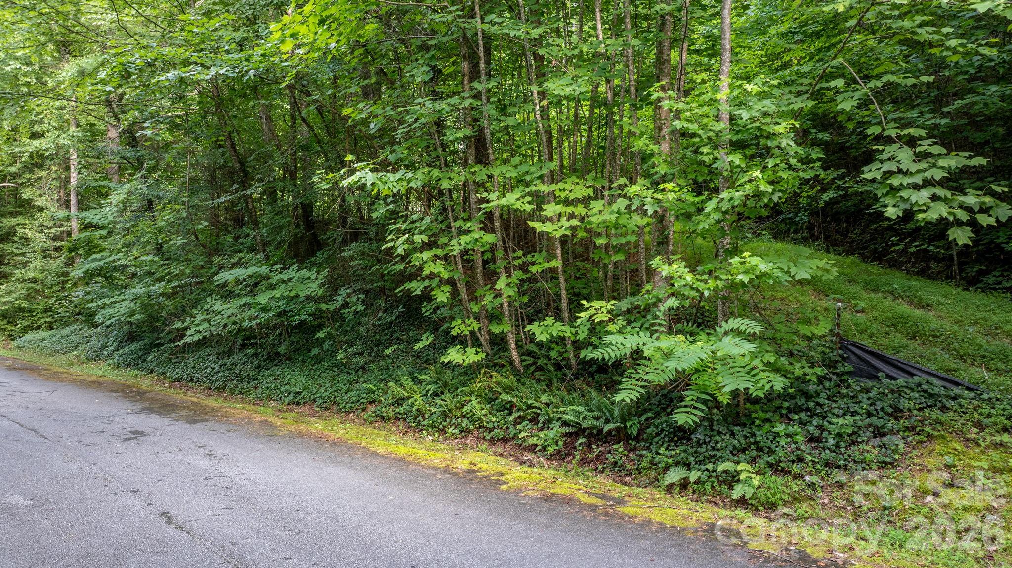 Lot at 2945 Rockwood Drive, Lenoir, photo 21 of 48