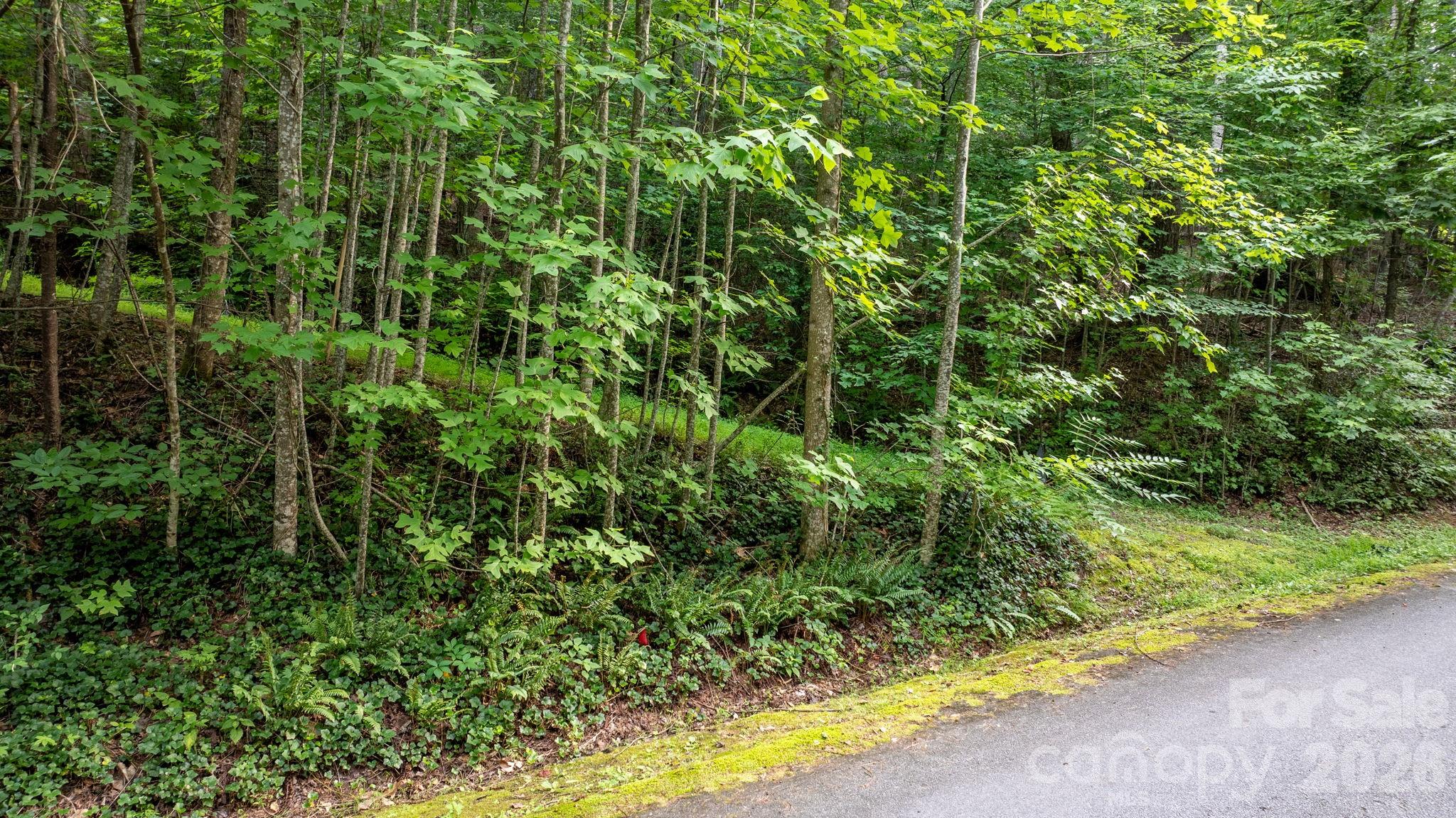 Lot at 2945 Rockwood Drive, Lenoir, photo 22 of 48