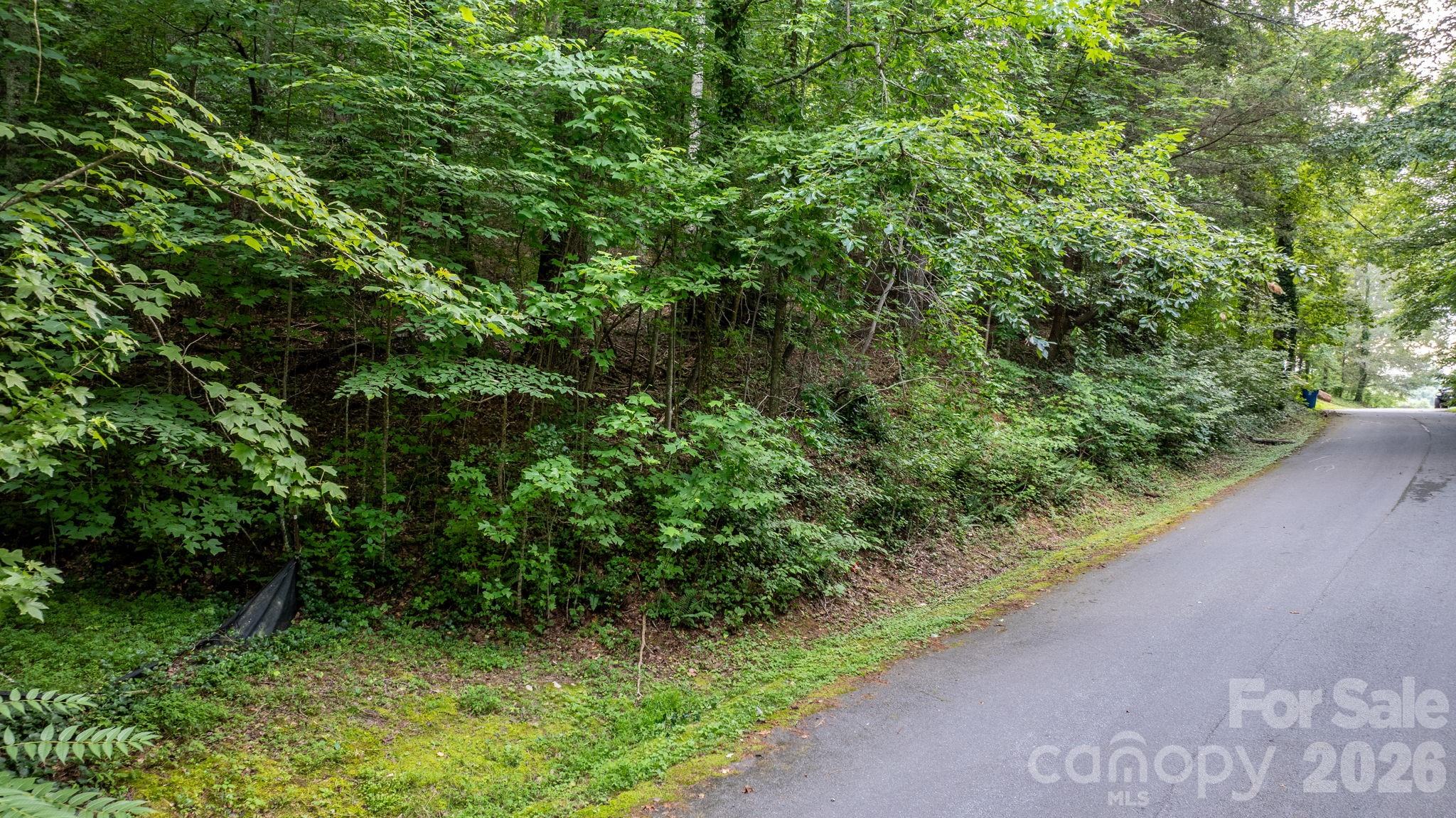 Lot at 2945 Rockwood Drive, Lenoir, photo 23 of 48