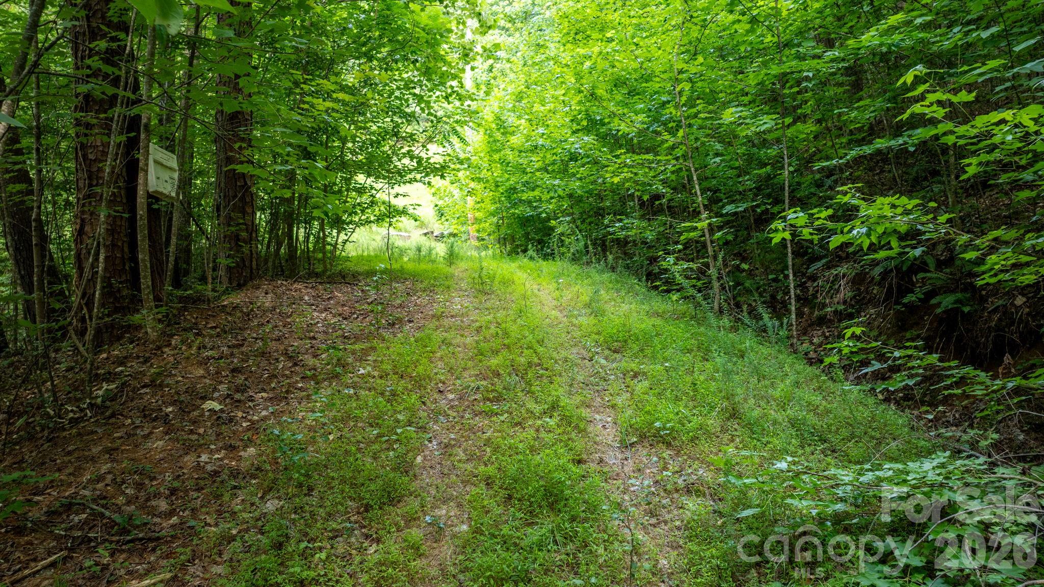Lot at 2945 Rockwood Drive, Lenoir, photo 24 of 48