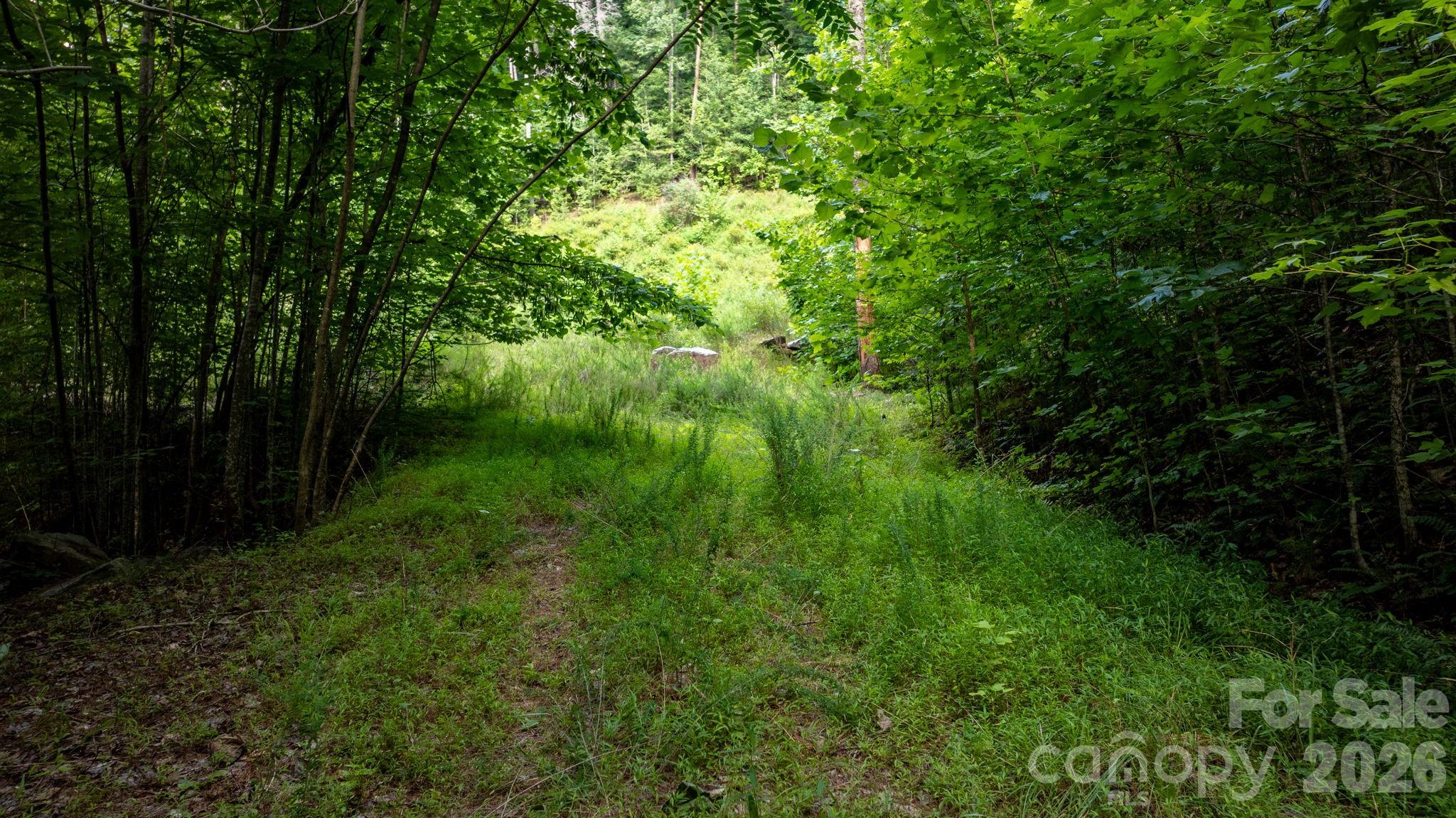 Lot at 2945 Rockwood Drive, Lenoir, photo 25 of 48