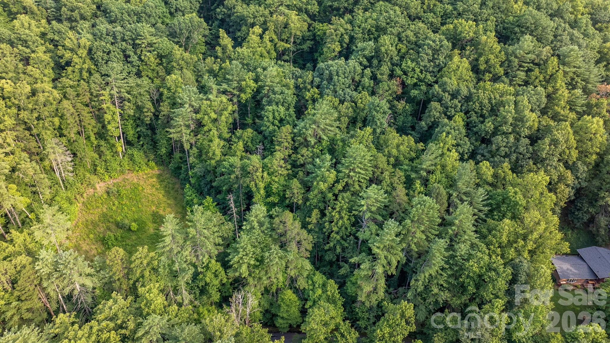 Lot at 2945 Rockwood Drive, Lenoir, photo 27 of 48