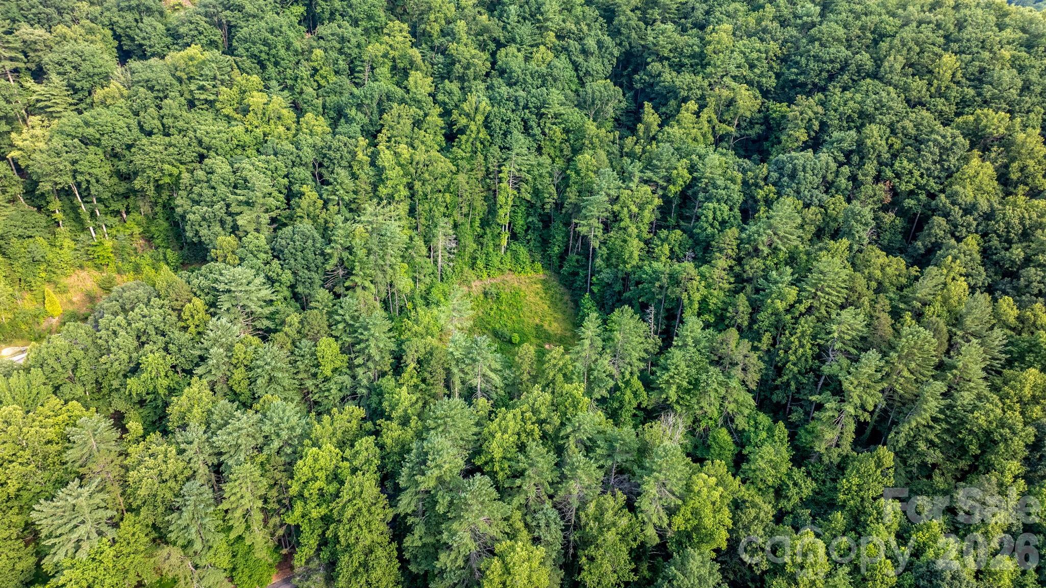 Lot at 2945 Rockwood Drive, Lenoir, photo 36 of 48