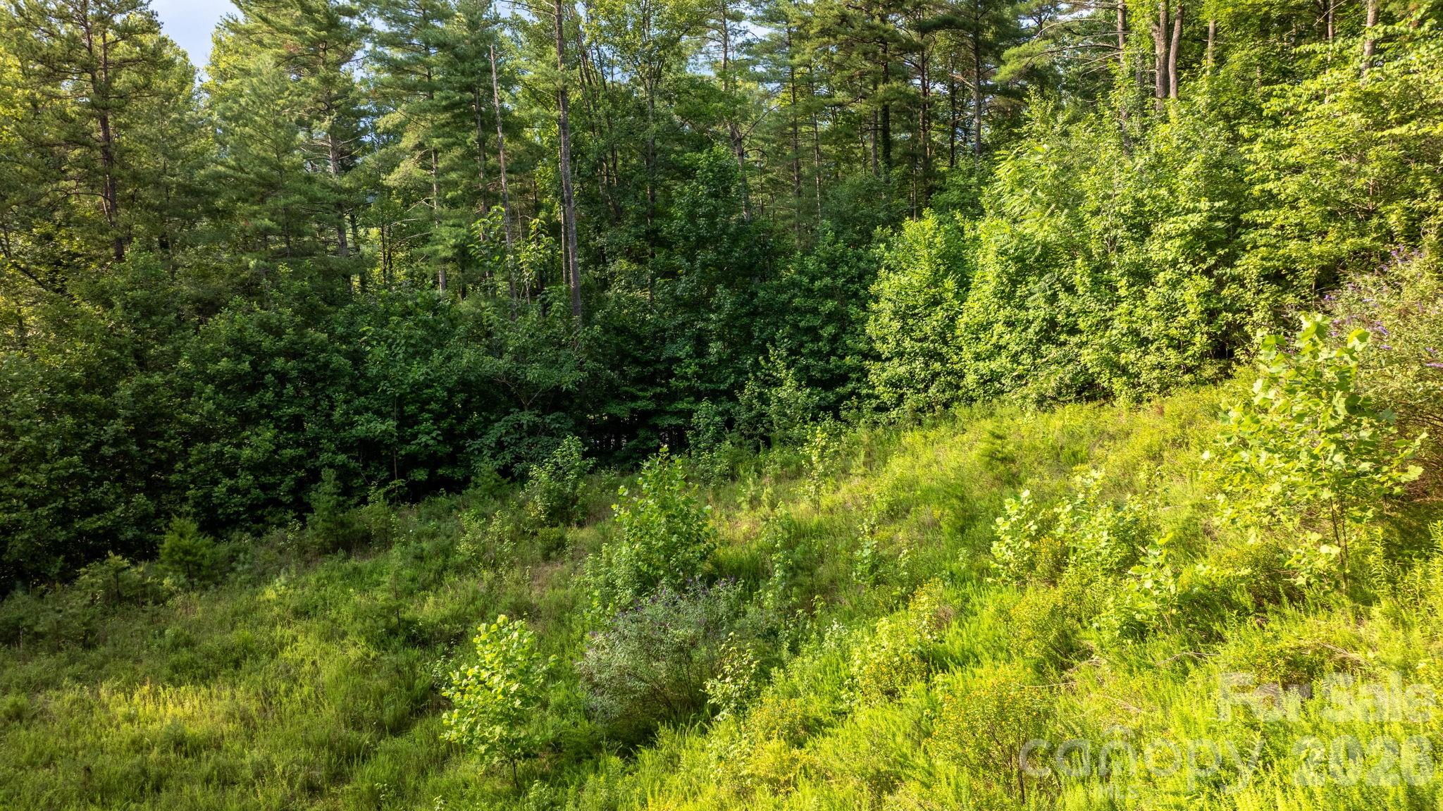 Lot at 2945 Rockwood Drive, Lenoir, photo 45 of 48
