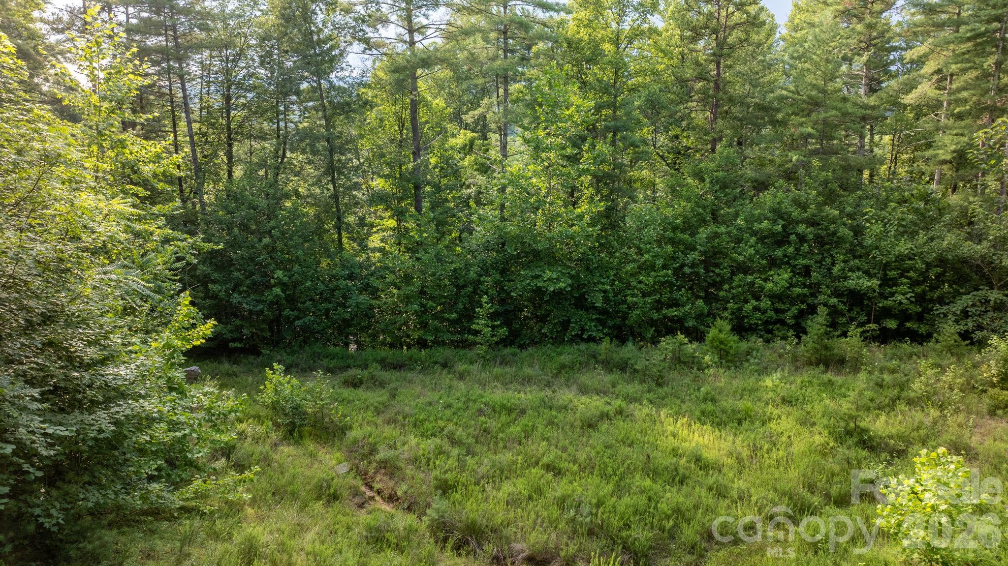 Lot at 2945 Rockwood Drive, Lenoir, photo 46 of 48