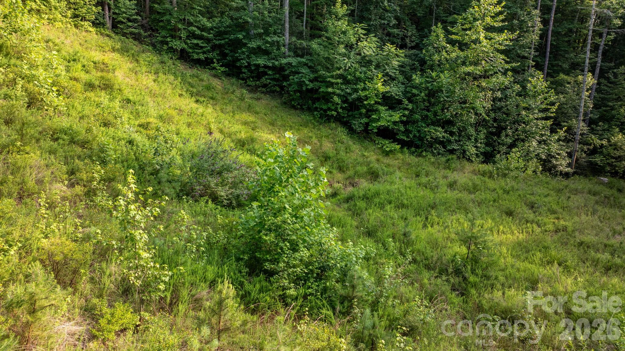 Lot at 2945 Rockwood Drive, Lenoir, photo 47 of 48