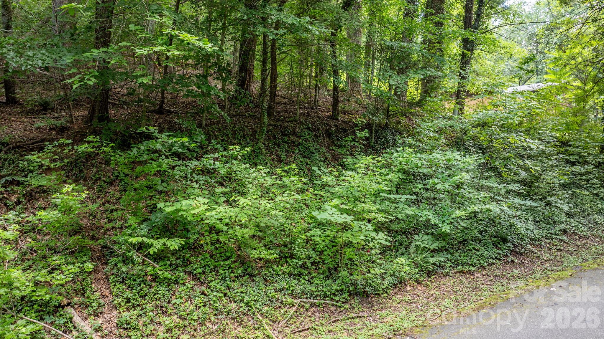 Lot at 2945 Rockwood Drive, Lenoir, photo 48 of 48
