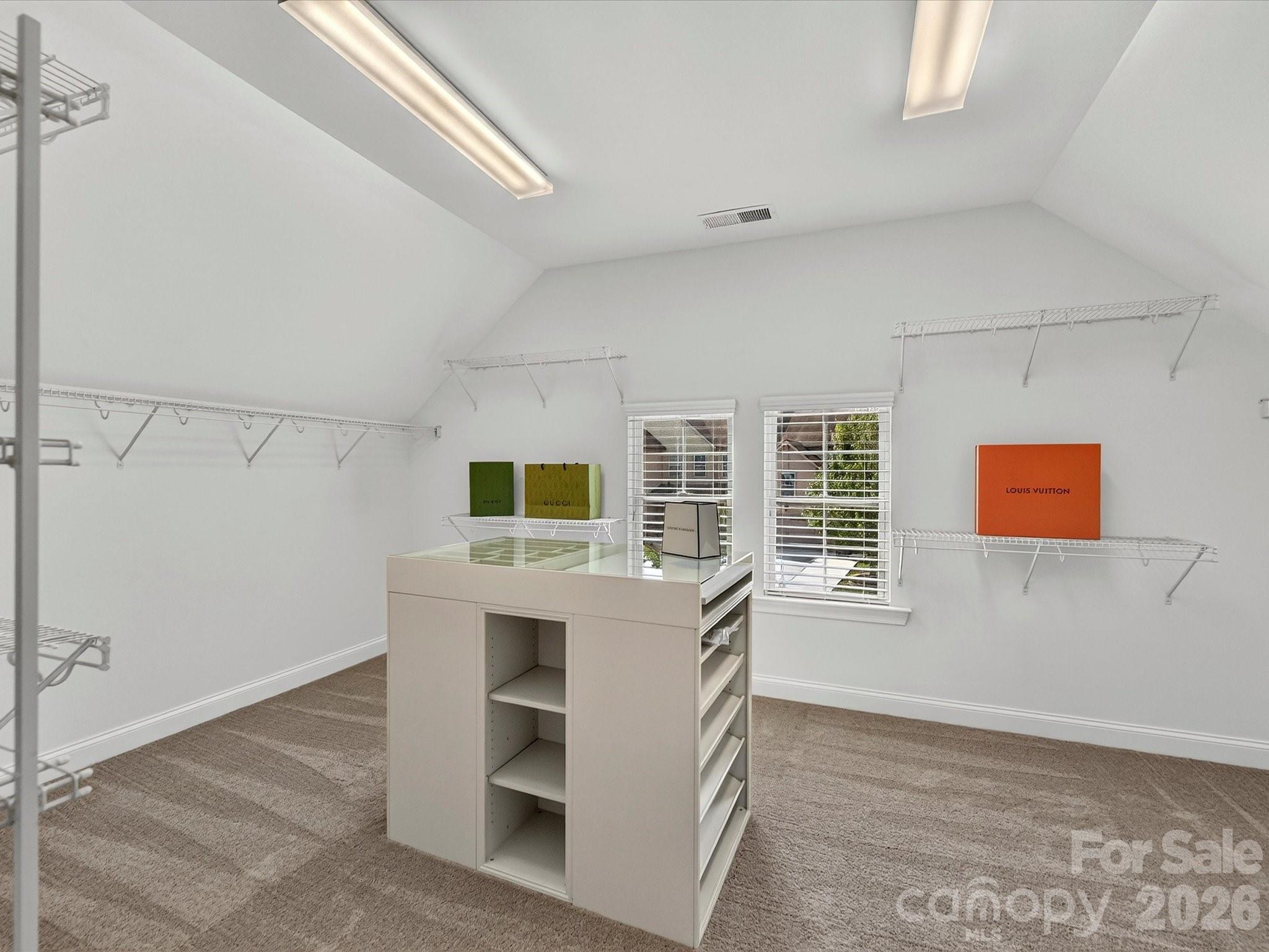 Primary Boutique-like Closet - 317 Somerled Way, Waxhaw
