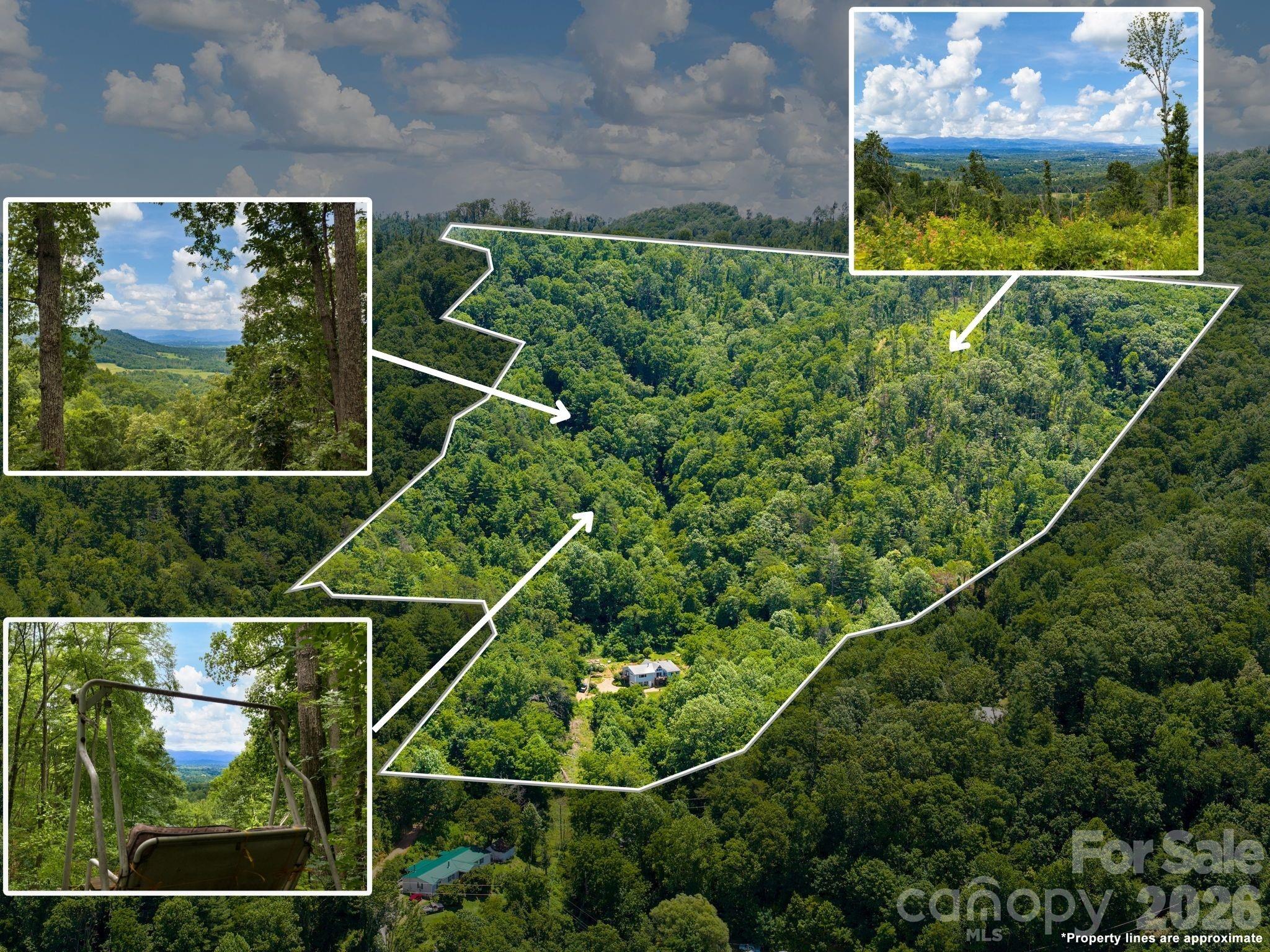 30 amazing acres with established hiking trails and seating areas to soak in the views - 46 Perennial Ridge, Weaverville