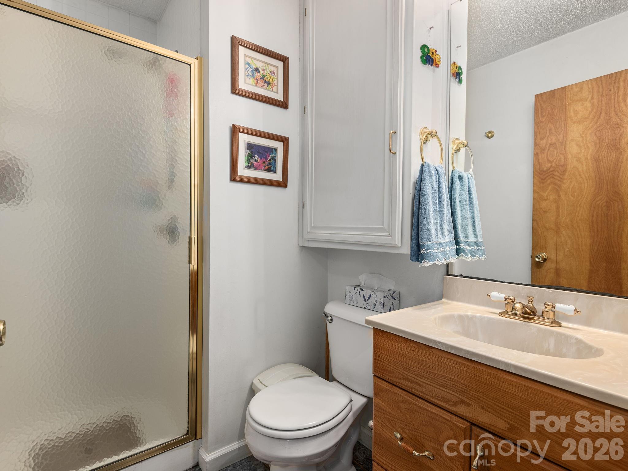 Hall bath - 46 Perennial Ridge, Weaverville