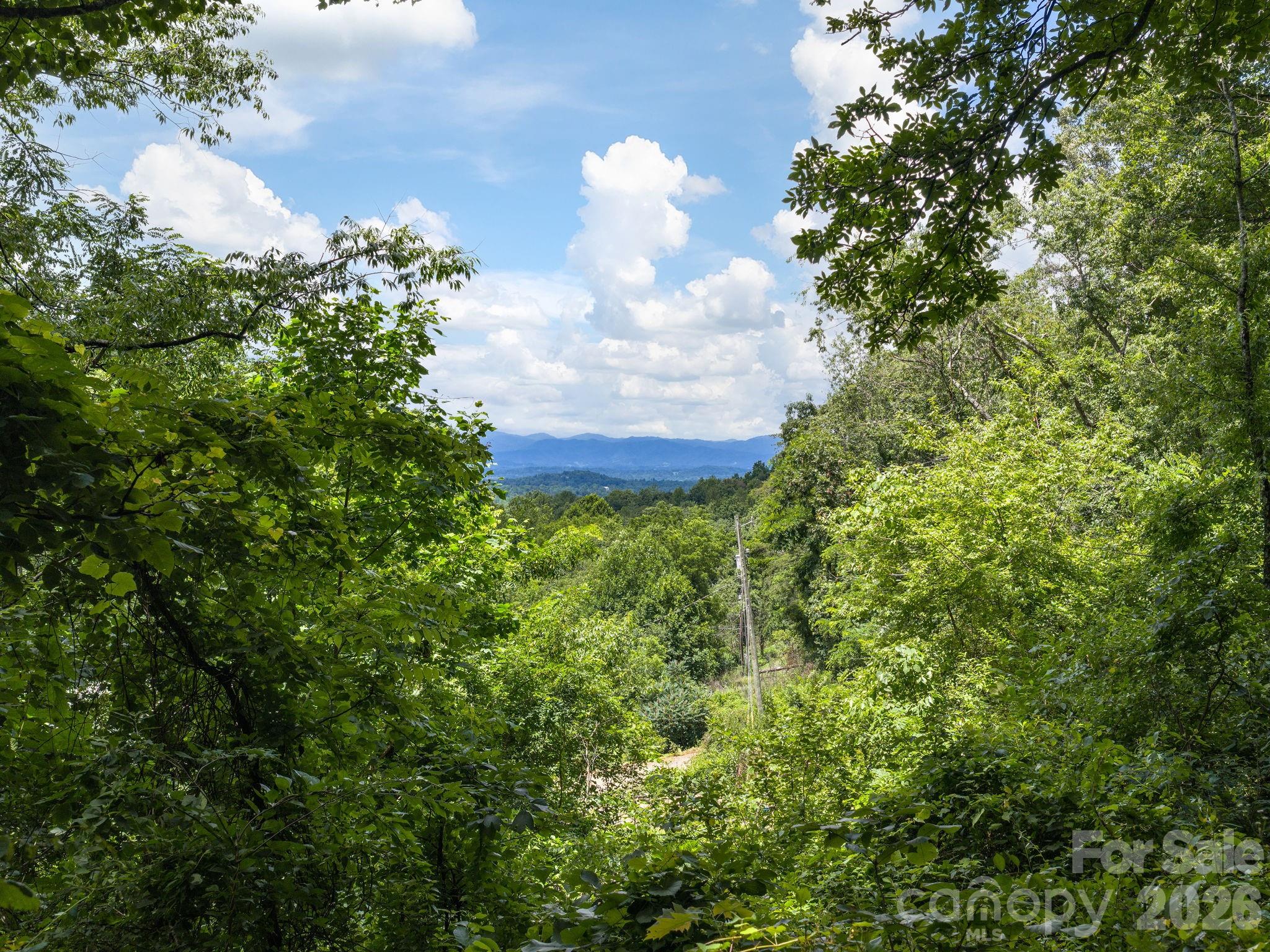 Single Family Residence at 46 Perennial Ridge, Weaverville, photo 35 of 46