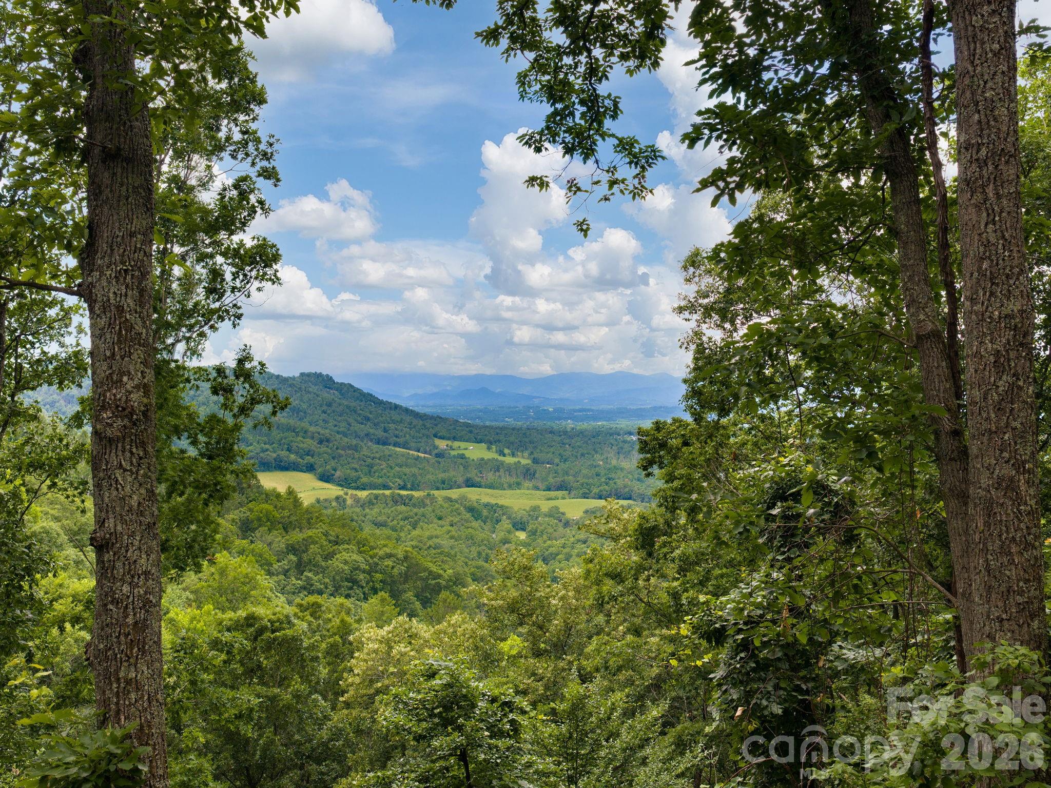 Single Family Residence at 46 Perennial Ridge, Weaverville, photo 38 of 46