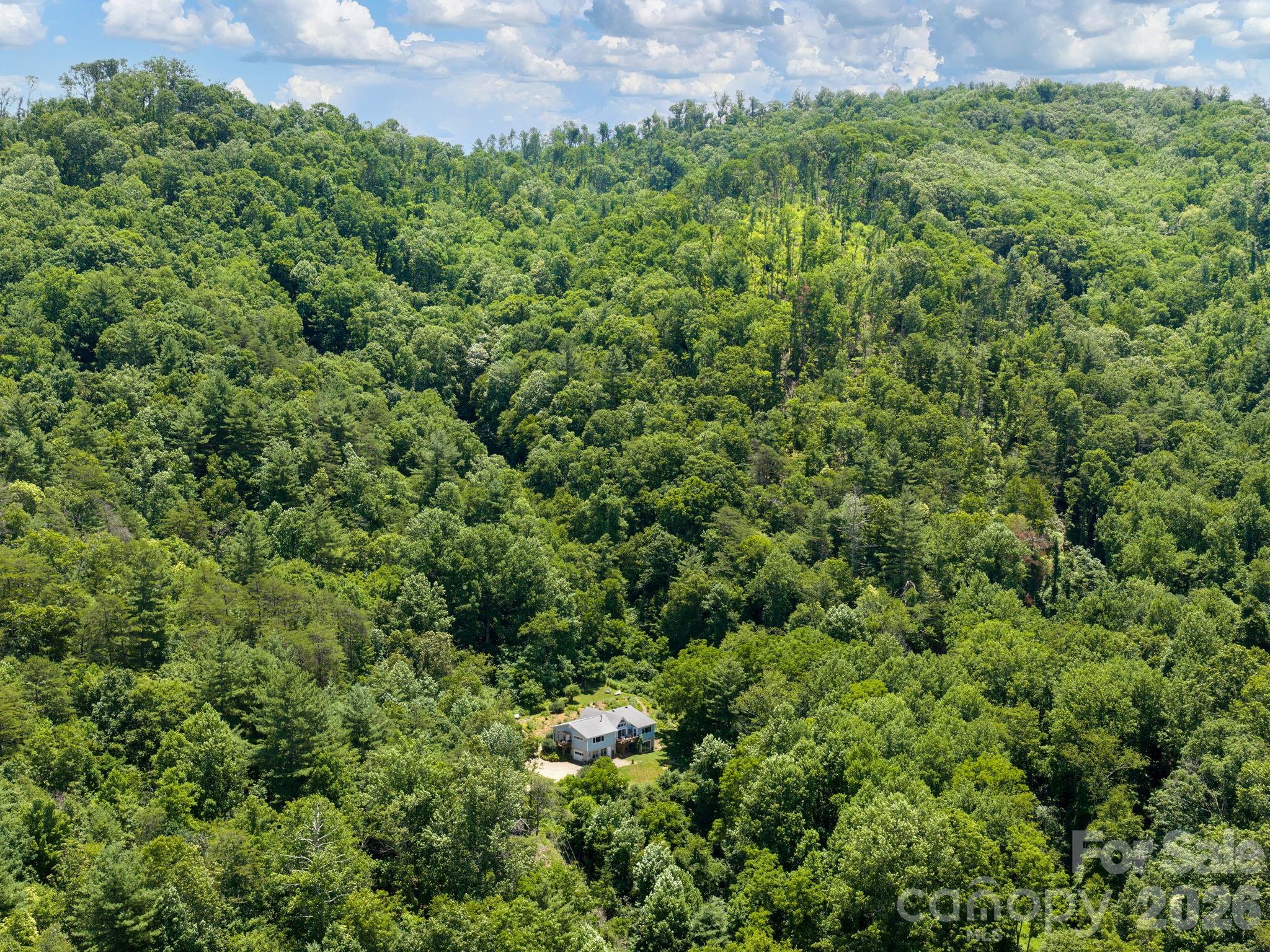 Single Family Residence at 46 Perennial Ridge, Weaverville, photo 41 of 46