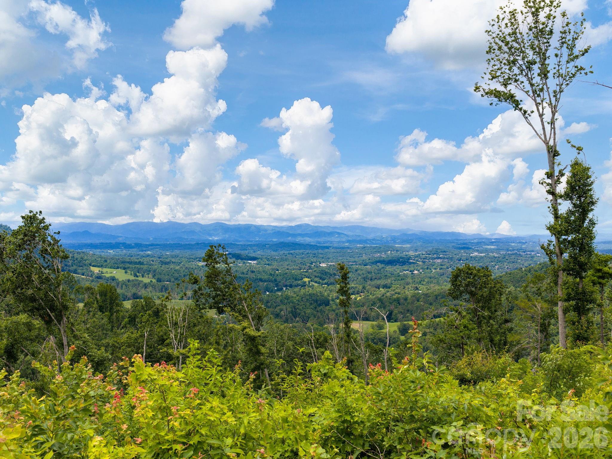 Serene spot to unwind! Imagine this being your view every day. Future build site?! - 46 Perennial Ridge, Weaverville