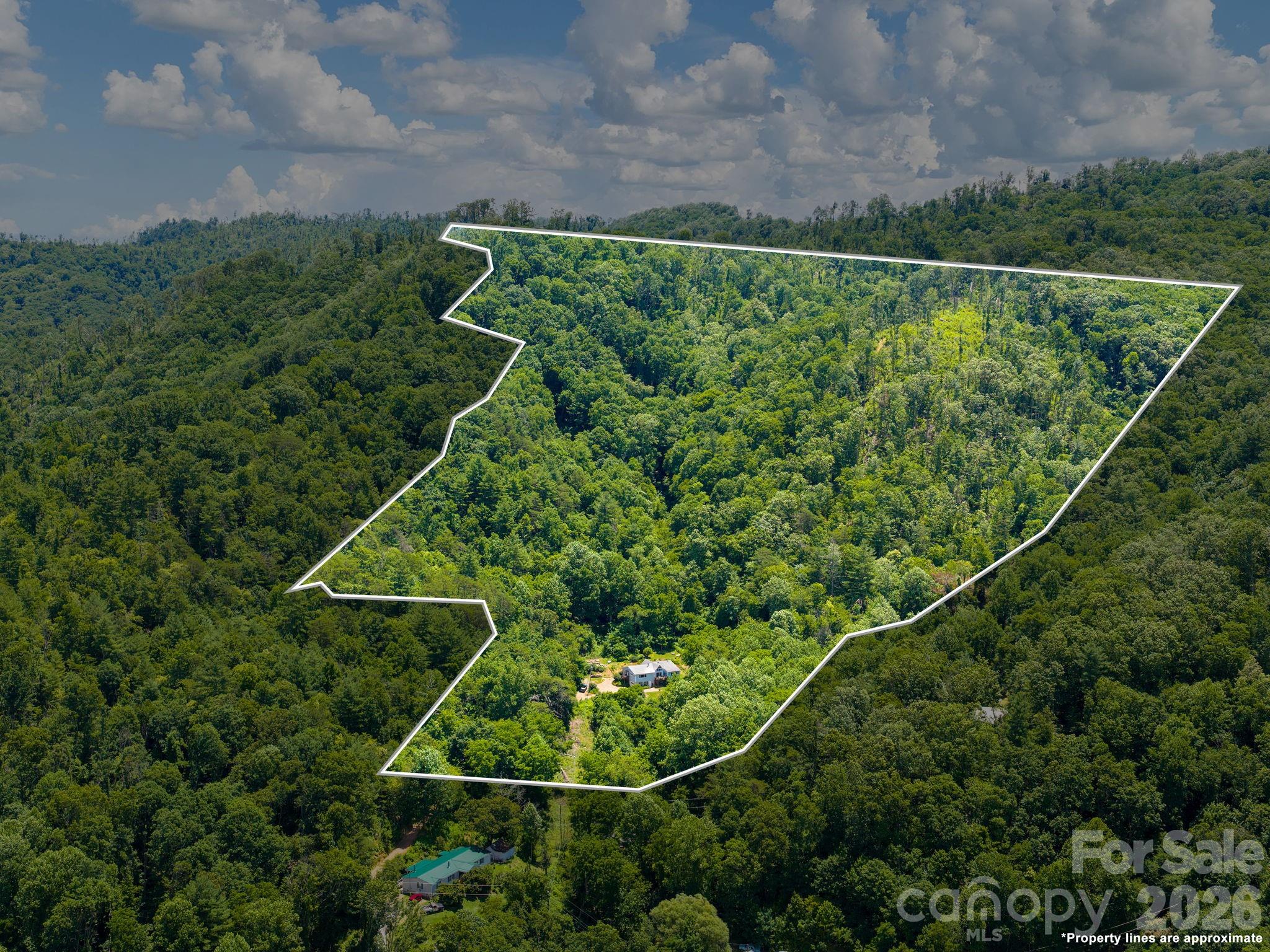 Single Family Residence at 46 Perennial Ridge, Weaverville, photo 44 of 46