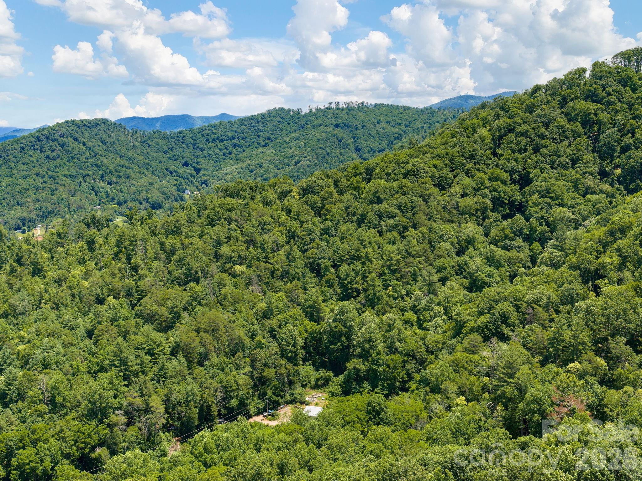 Single Family Residence at 46 Perennial Ridge, Weaverville, photo 45 of 46