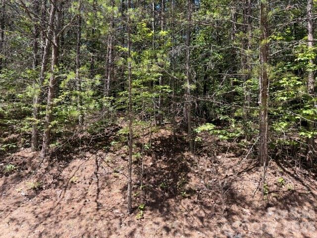 Lot at 00 Sundance Drive, Nebo, photo 4 of 6