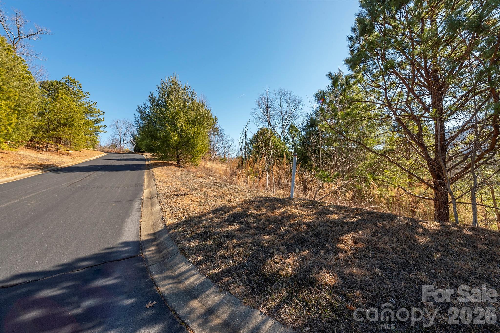 Lot at 99999 Woodhen Way, Horse Shoe, photo 3 of 35