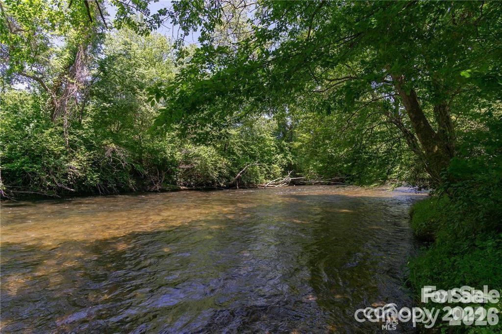 Mills River at the River Reserve - 99999 Woodhen Way, Horse Shoe