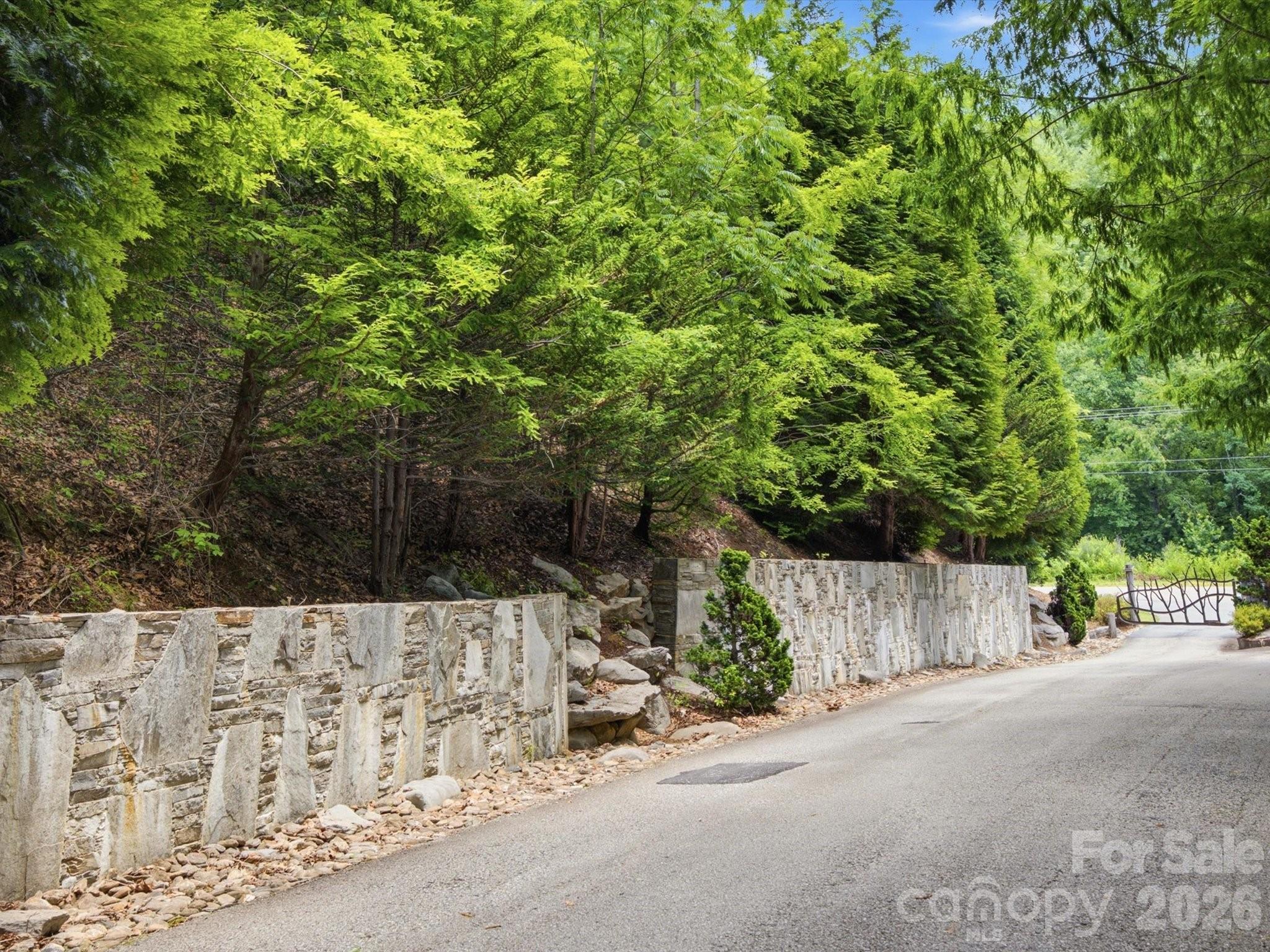 Lot at 8542 Indian Trace, Nebo, photo 5 of 18