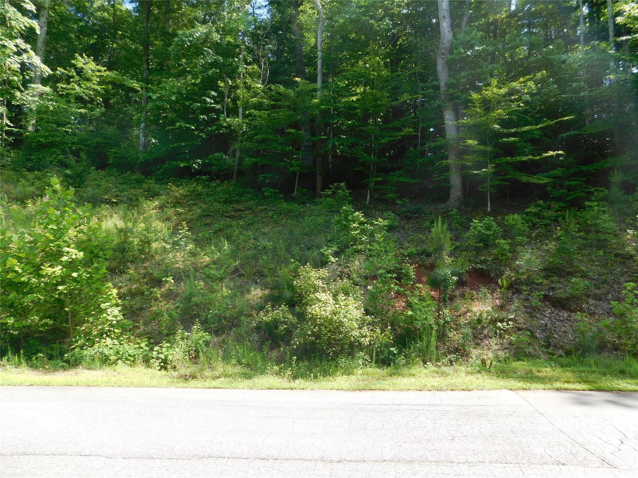 Road Frontage - 305 E Settings Boulevard NW, Valdese