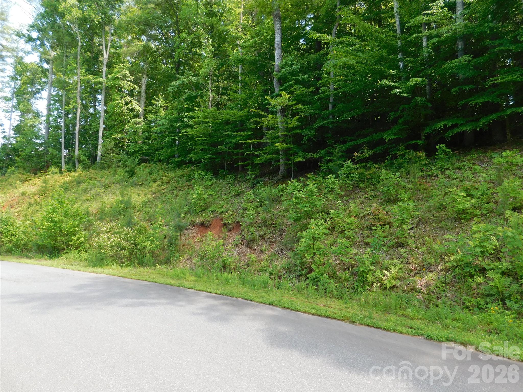 Lot at 305 E Settings Boulevard NW, Valdese, photo 4 of 14