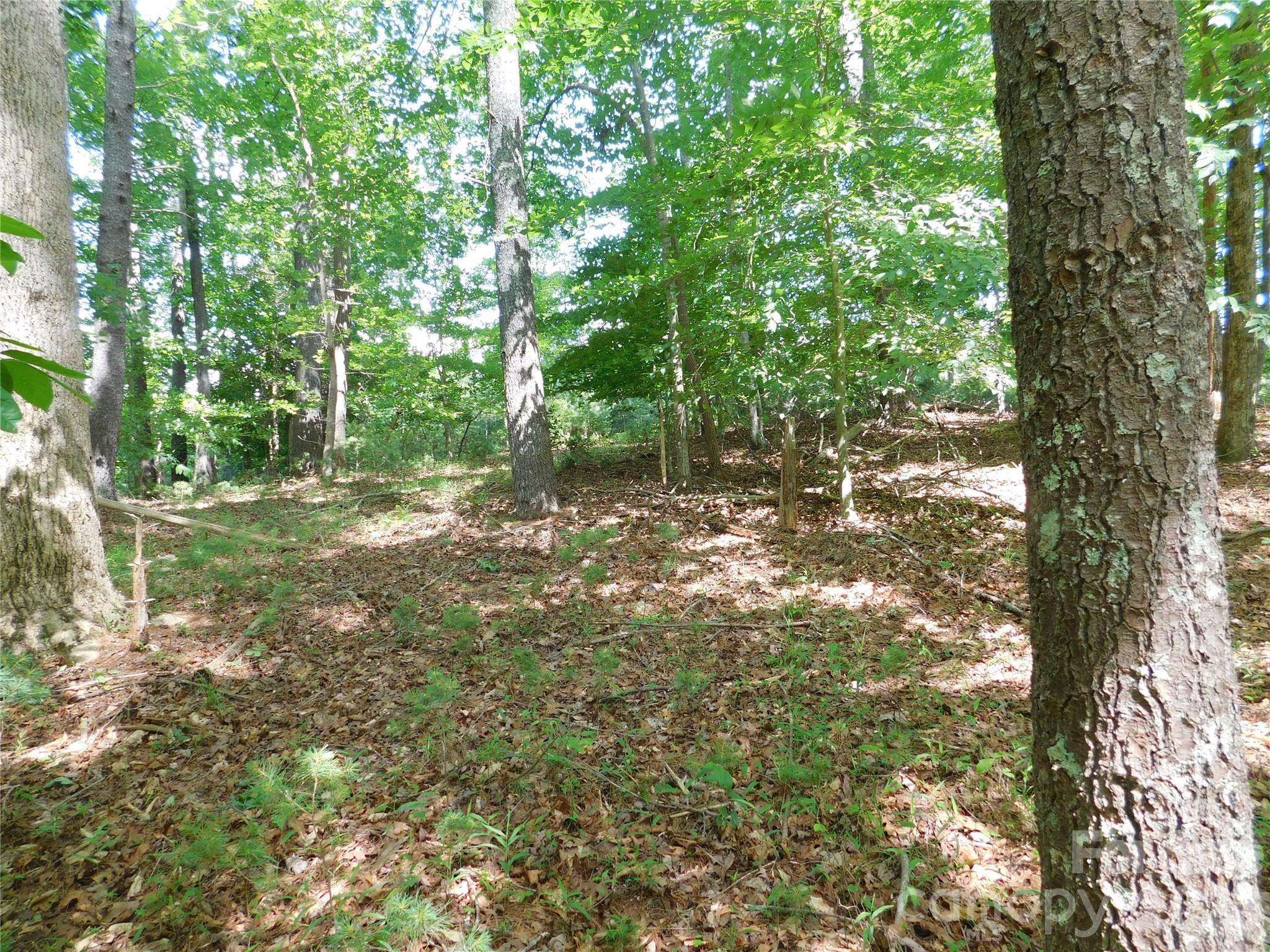 Lot at 305 E Settings Boulevard NW, Valdese, photo 6 of 14