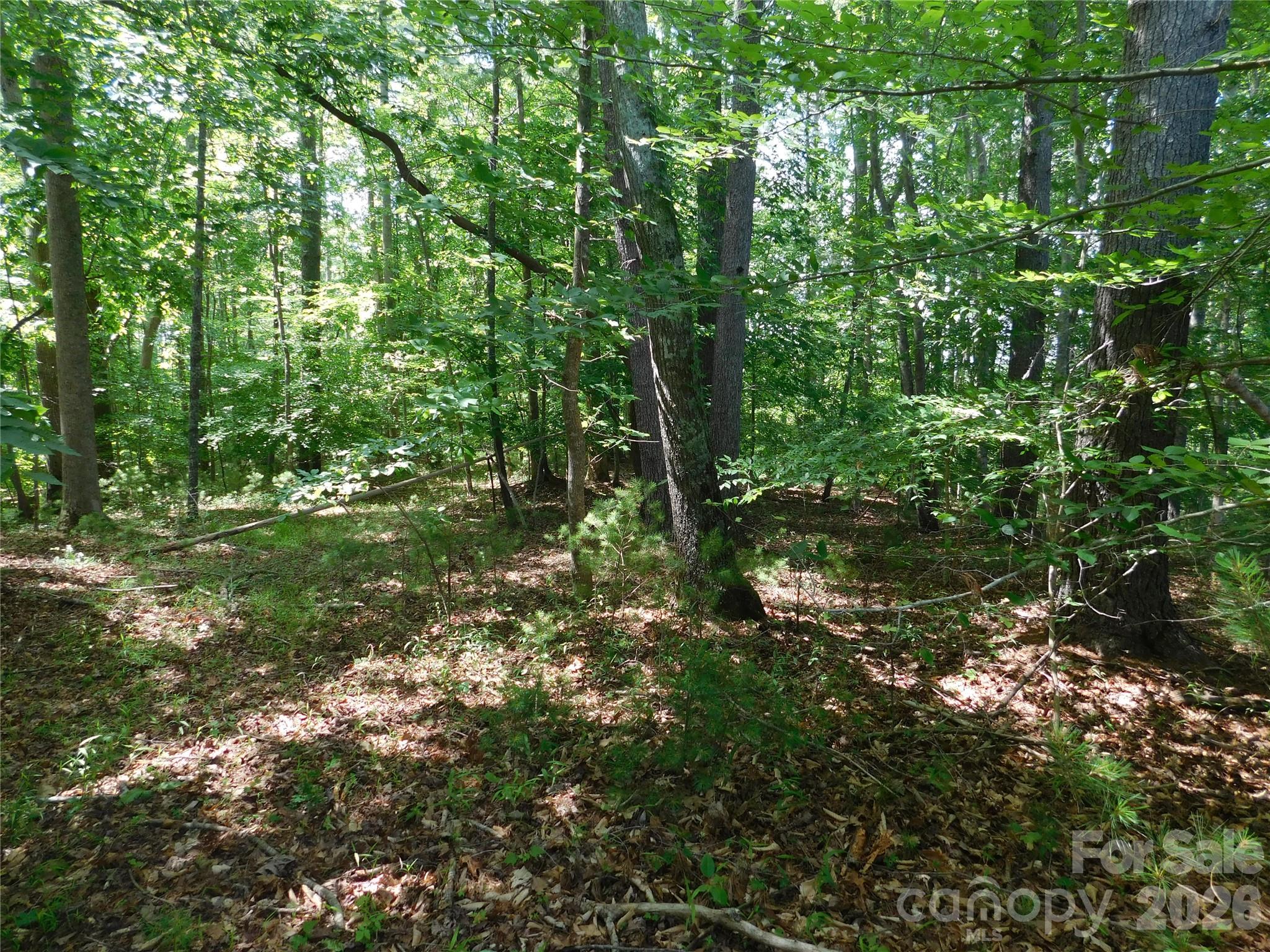 Lot at 305 E Settings Boulevard NW, Valdese, photo 7 of 14