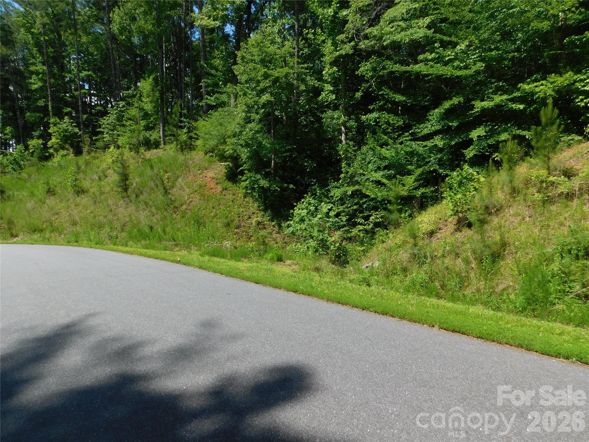 walk up ravine to view property - 305 E Settings Boulevard NW, Valdese
