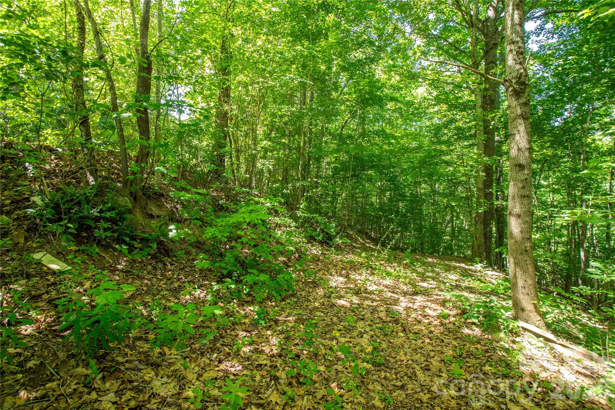 Lot at 71 Timberwood Drive, Asheville, photo 2 of 5