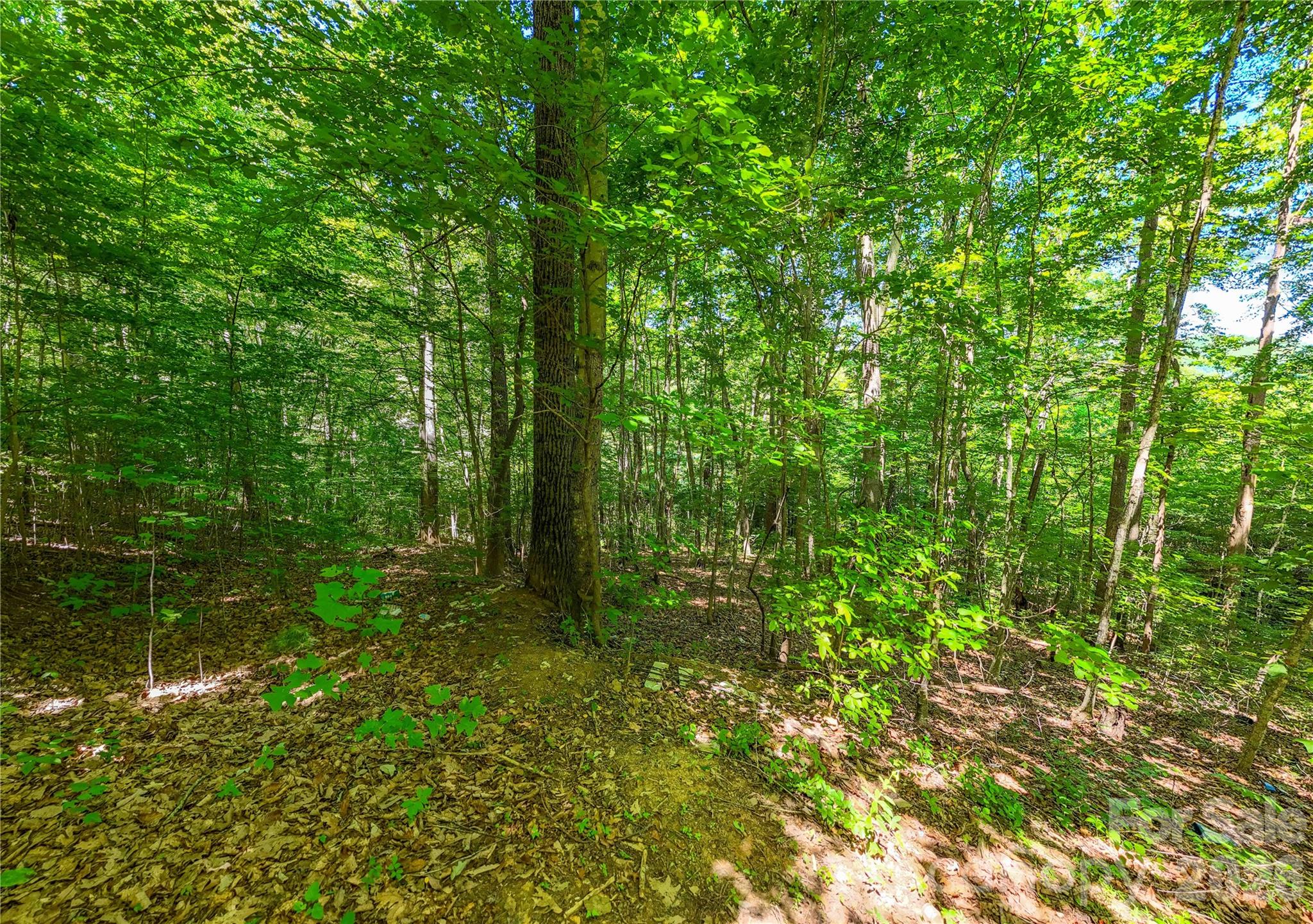 Lot at 71 Timberwood Drive, Asheville, photo 3 of 5