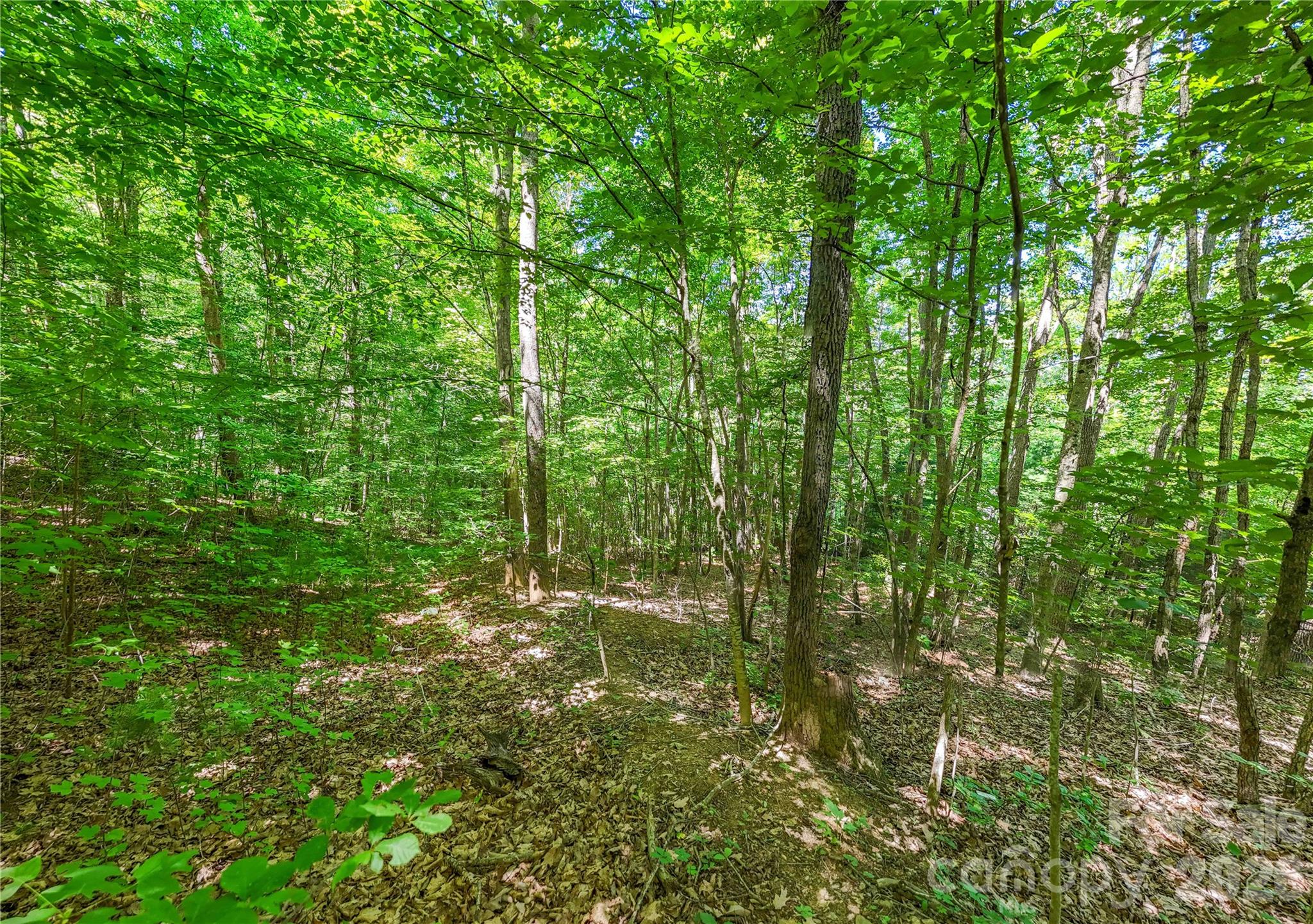 Lot at 71 Timberwood Drive, Asheville, photo 4 of 5