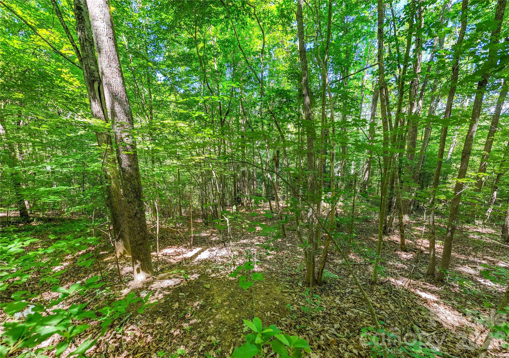 Lot at 71 Timberwood Drive, Asheville, photo 5 of 5