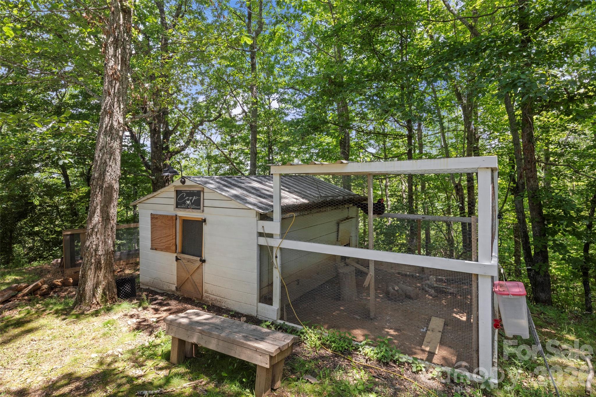 Bring your chickens! - 354 Boulder View Drive, Flat Rock