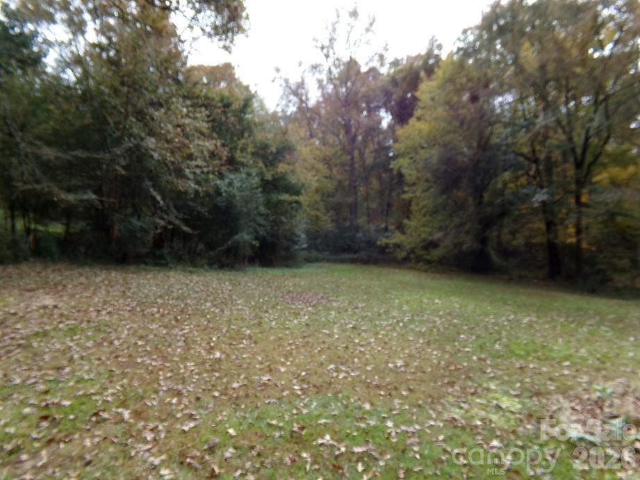 Back Lawn - 627 Bolick Road, Fort Mill