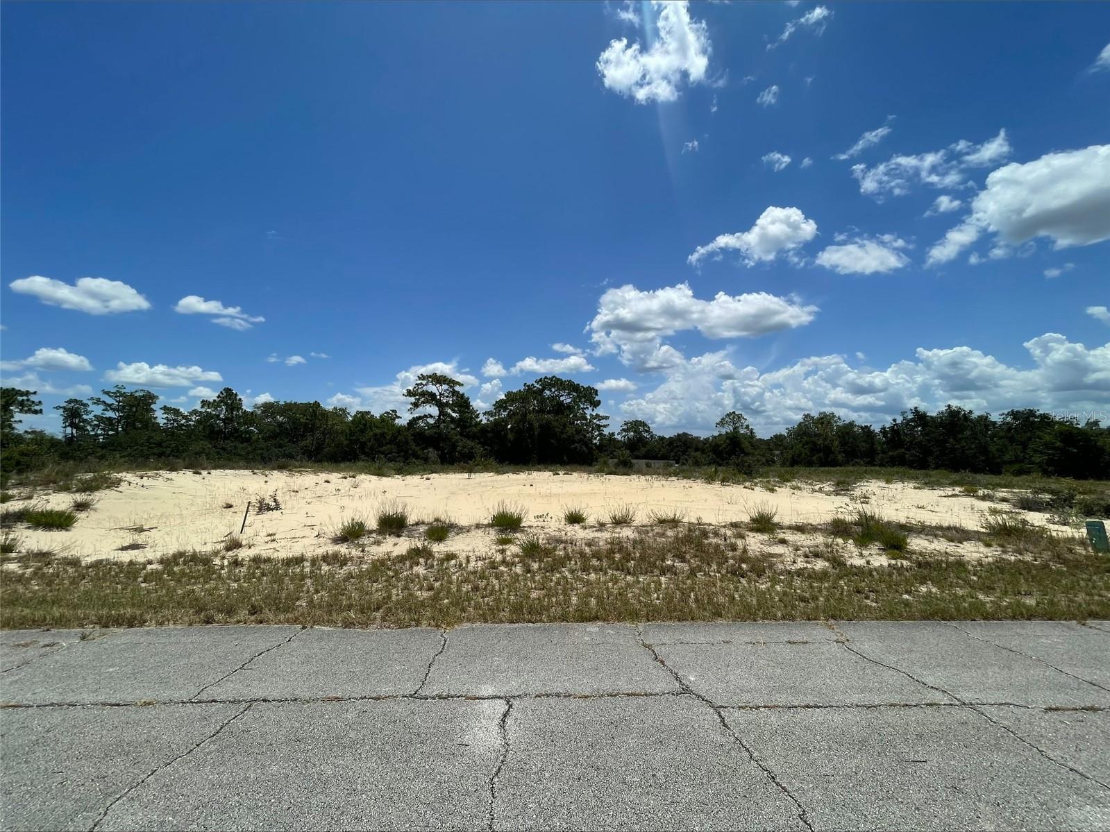 1344 HOMOSASSA CT