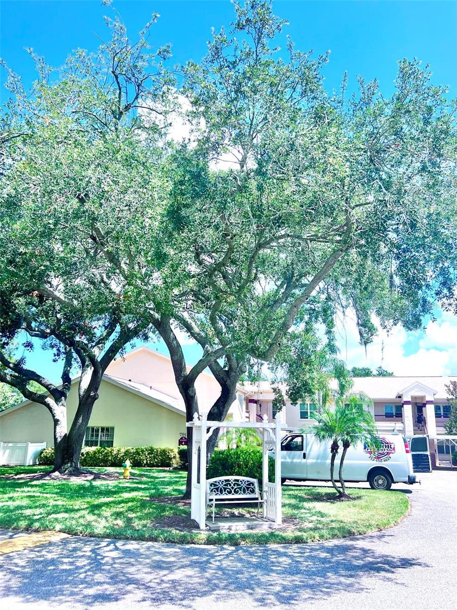 Condominium at 7910 HARDWICK DR #713, NEW PORT RICHEY, photo 20 of 33