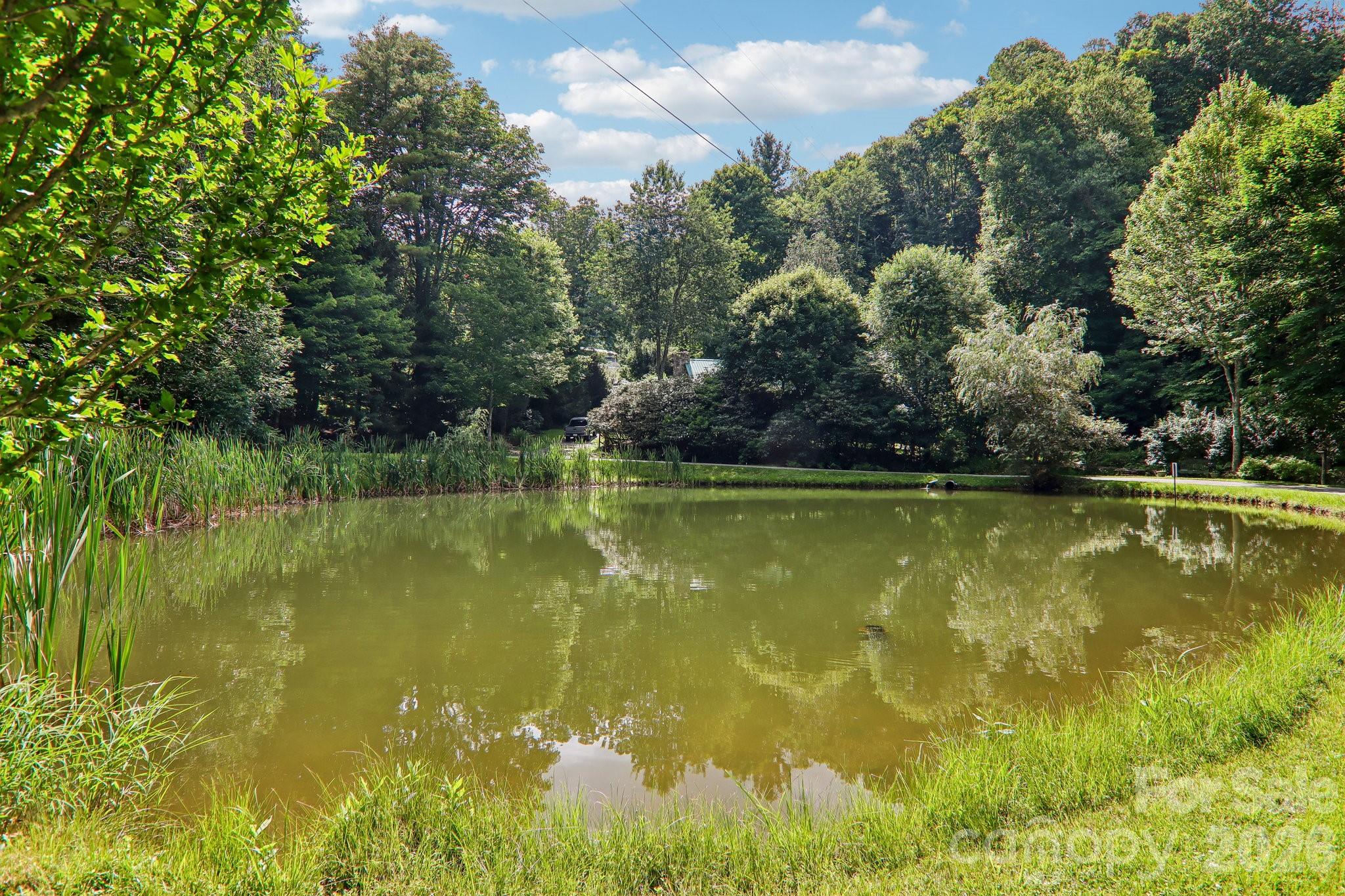 Walk to Pond Across the Street from Cabin - 251 Village Lane, Mars Hill