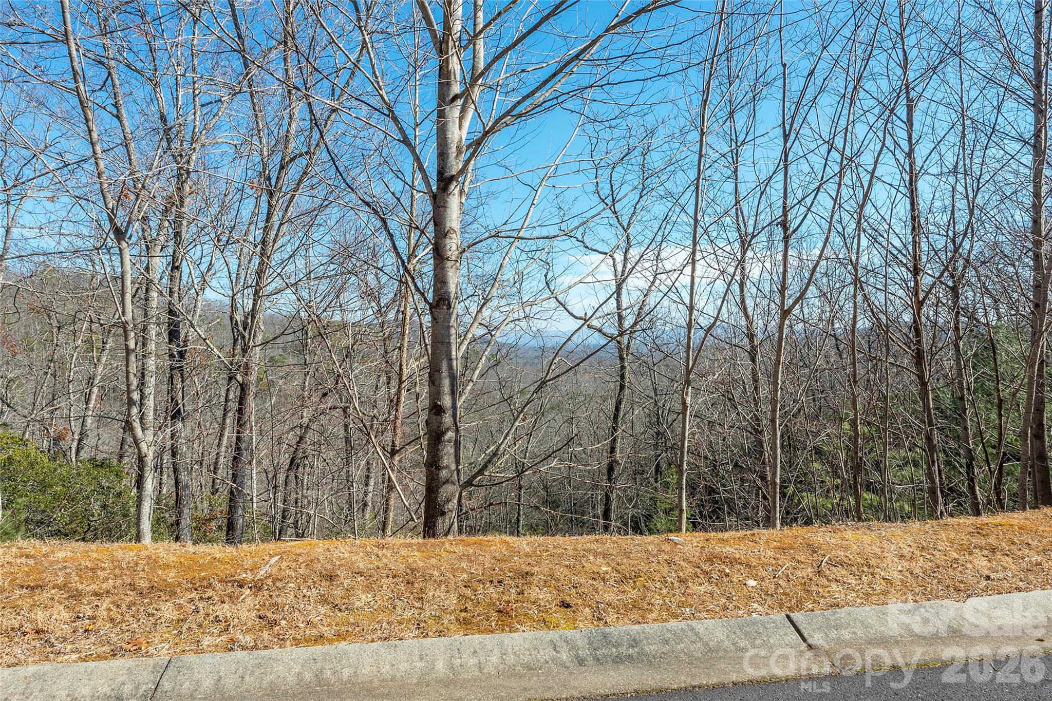 Lot at 99999 Mills River Way, Horse Shoe