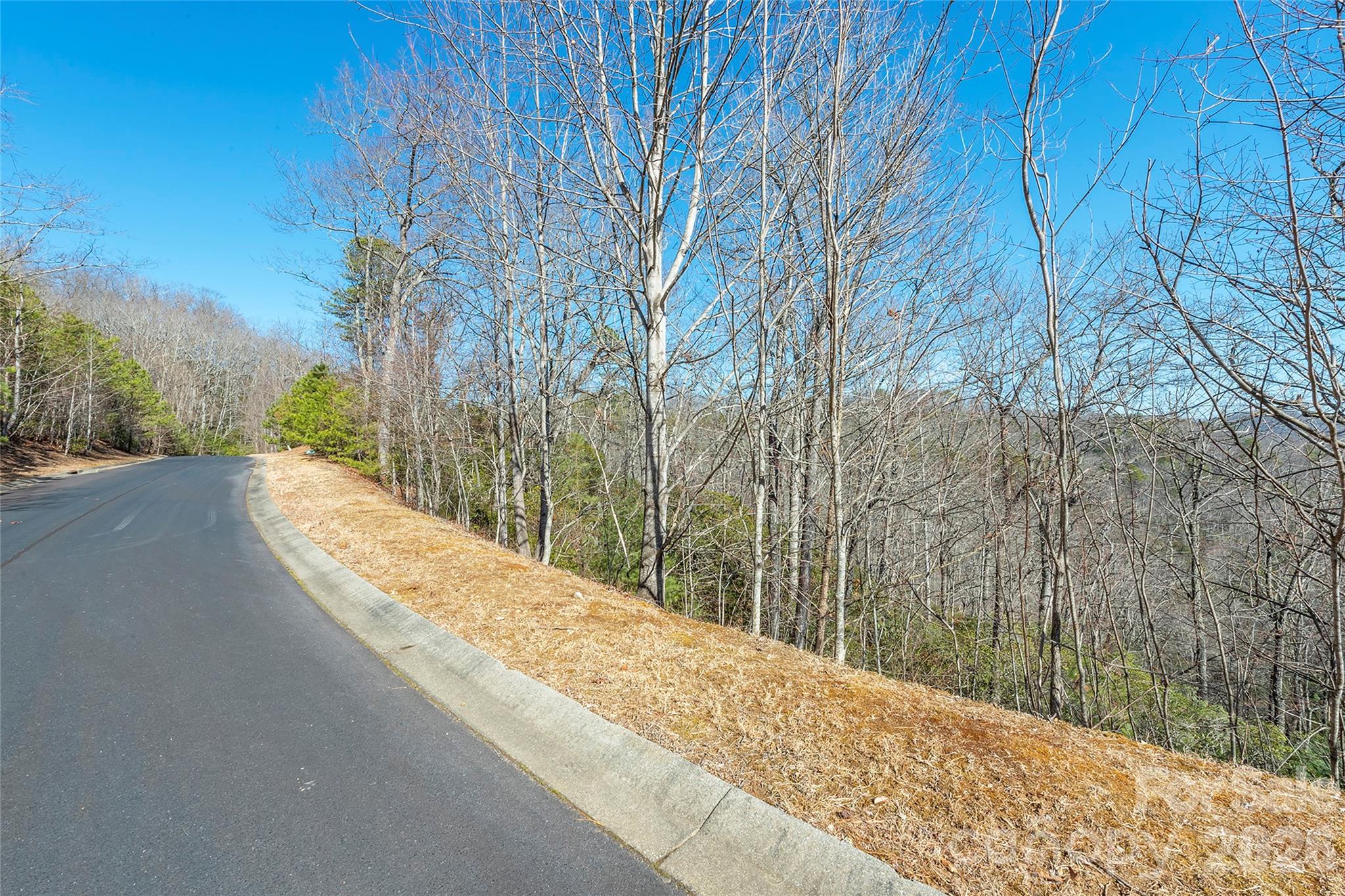 Lot at 99999 Mills River Way, Horse Shoe, photo 4 of 33
