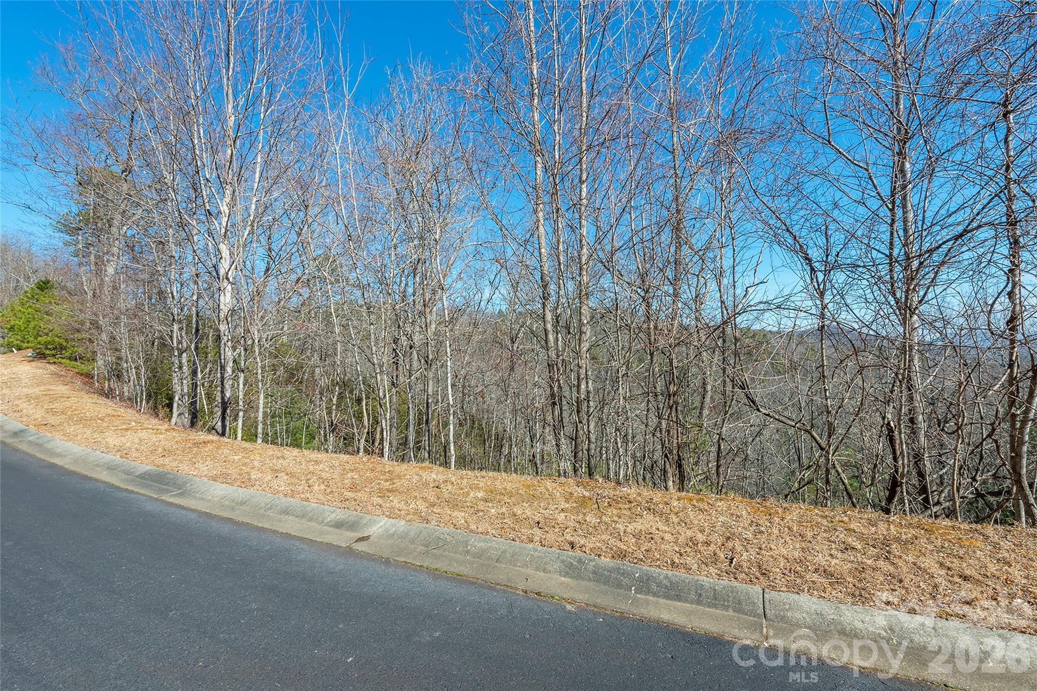 Lot at 99999 Mills River Way, Horse Shoe, photo 5 of 33