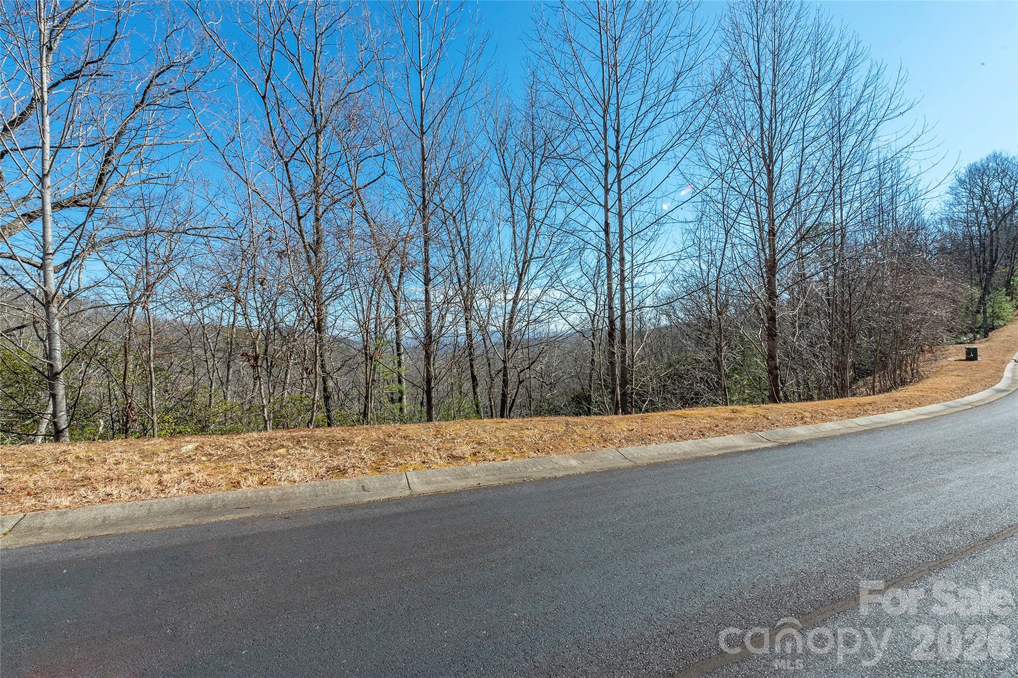Lot at 99999 Mills River Way, Horse Shoe, photo 13 of 33
