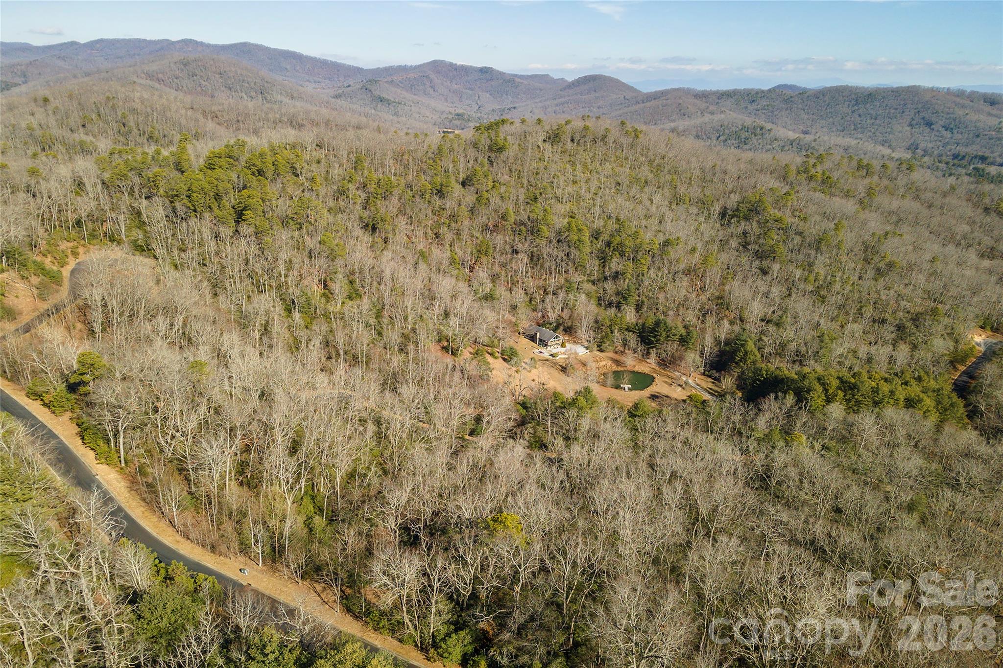 Lot at 99999 Mills River Way, Horse Shoe, photo 23 of 33
