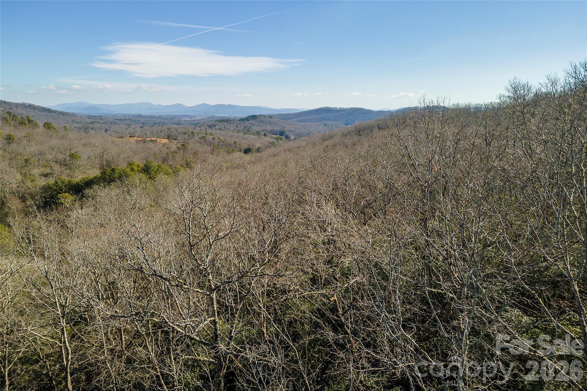 Lot at 99999 Mills River Way, Horse Shoe, photo 28 of 33