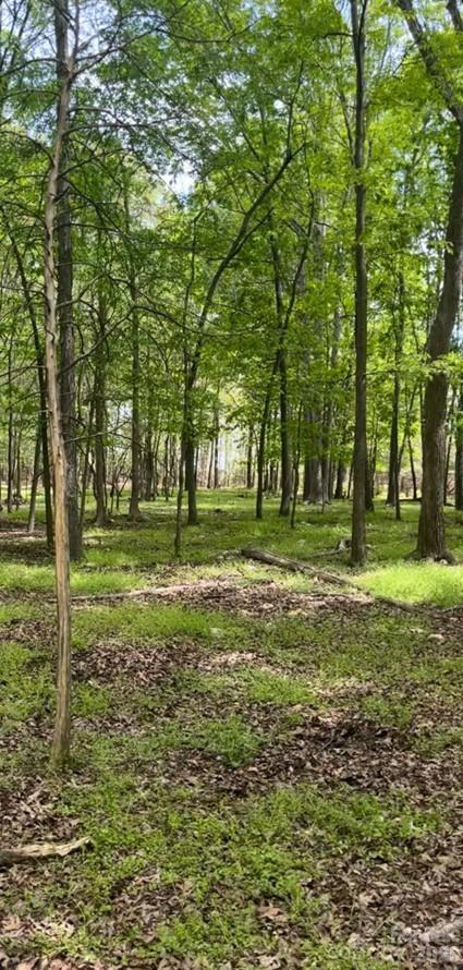 Acreage at 001 Wolf Pond Road, Monroe, photo 4 of 4