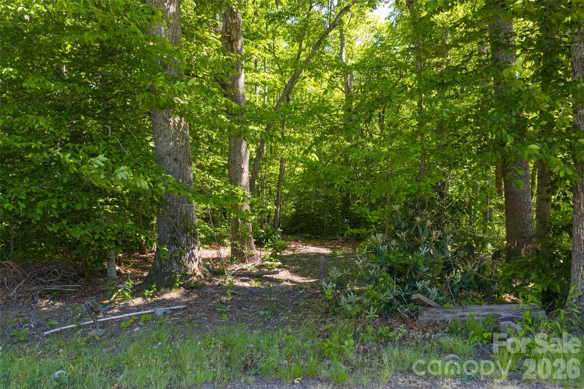 Lot at 9999 Mount Allen Heights, Black Mountain, photo 6 of 16