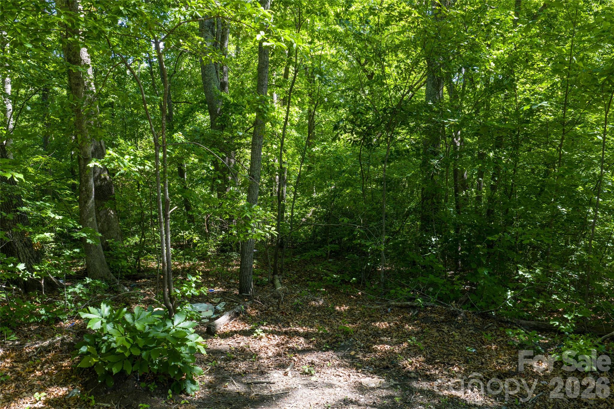Lot at 9999 Mount Allen Heights, Black Mountain, photo 8 of 16