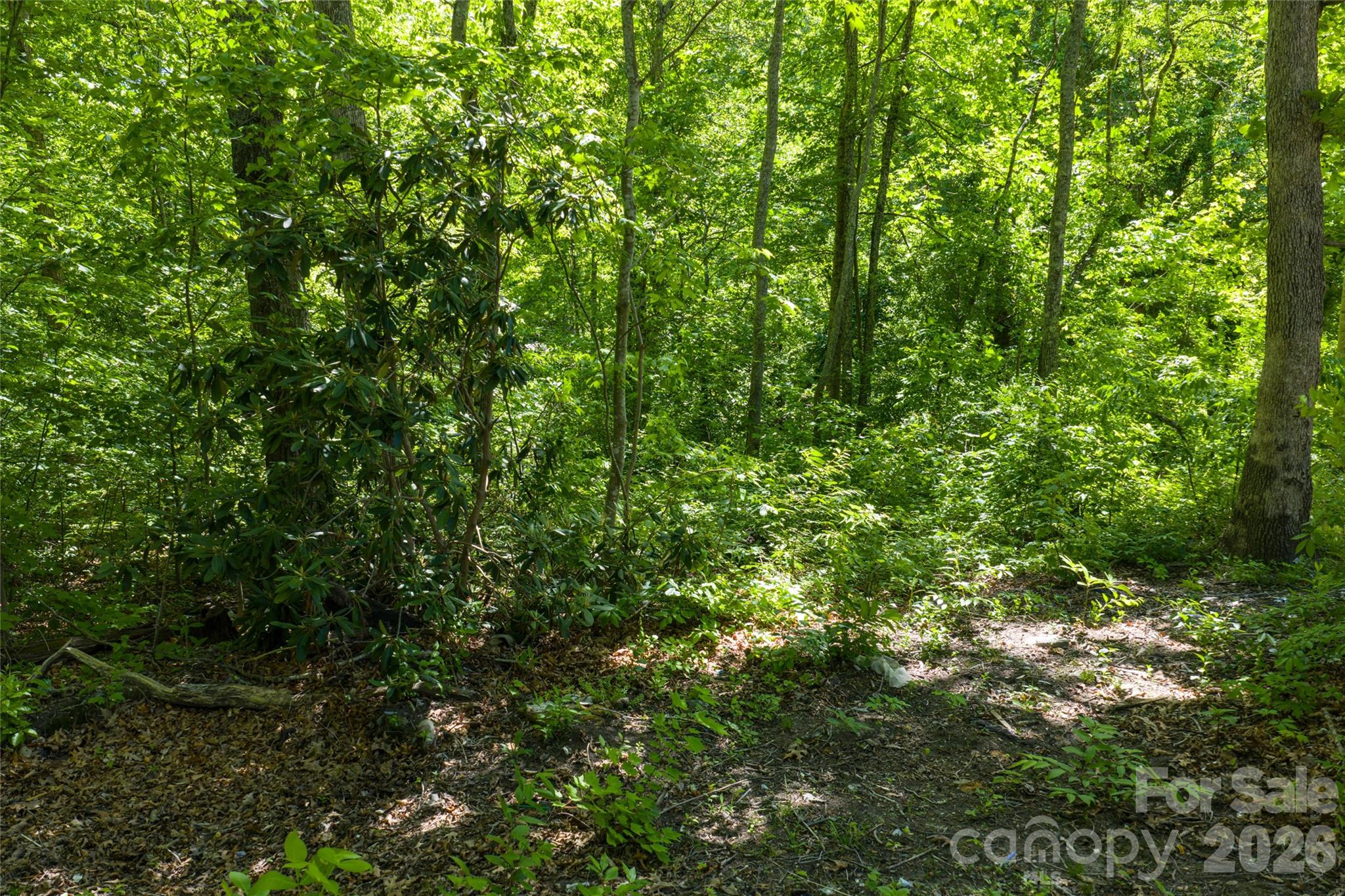Lot at 9999 Mount Allen Heights, Black Mountain, photo 9 of 16