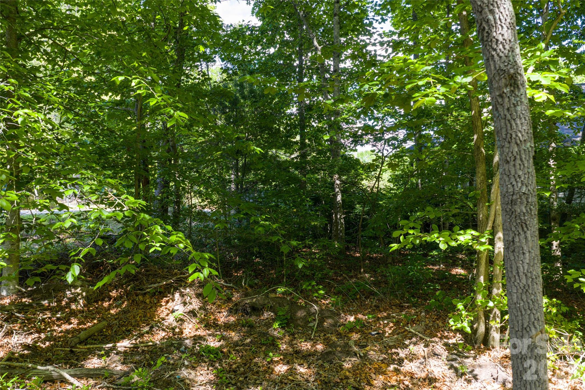 Lot at 9999 Mount Allen Heights, Black Mountain, photo 11 of 16