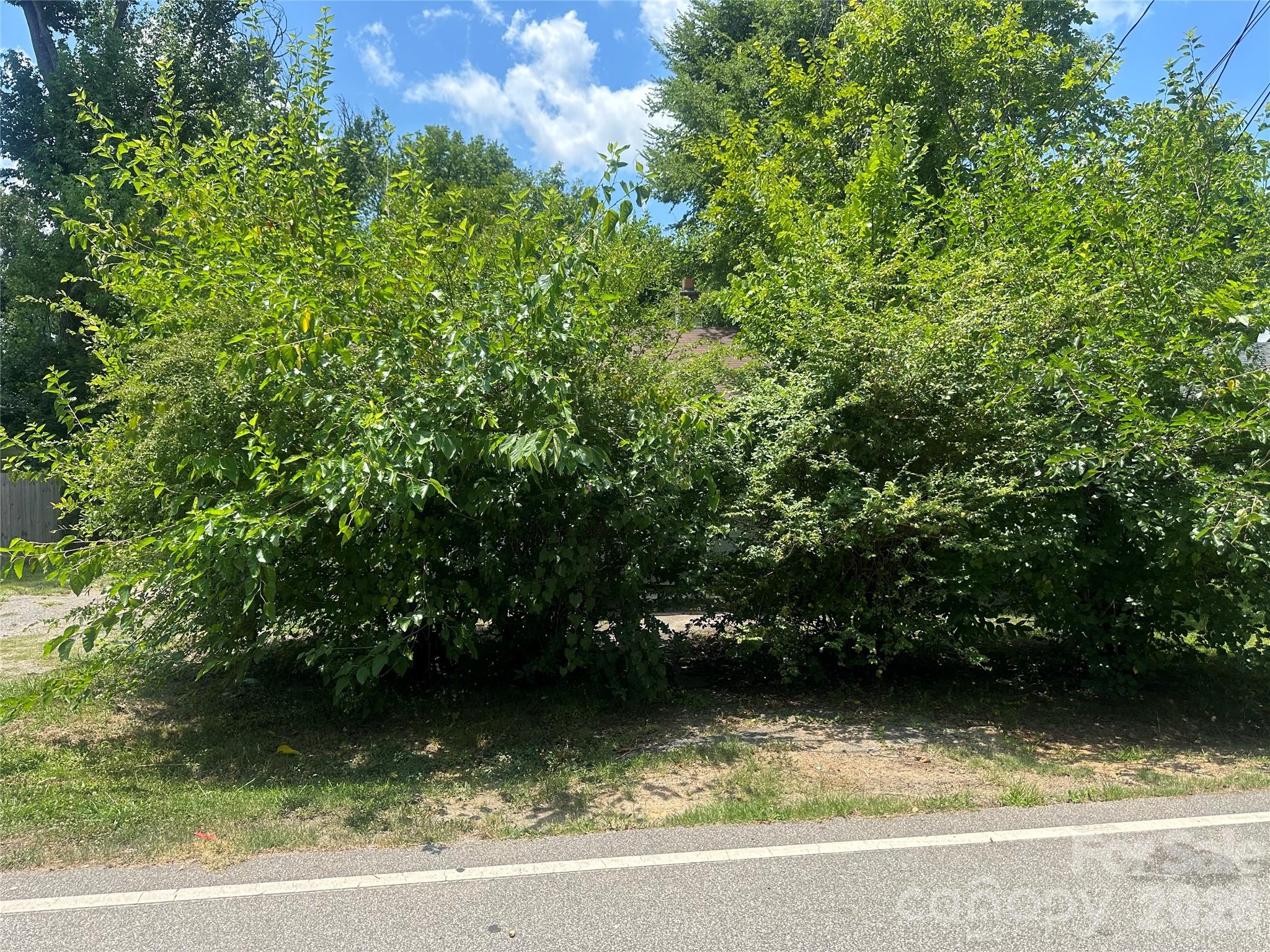 238 Cornelius Drive